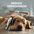 Dog Clippers for Grooming - Professional Kit with Low Noise Rechargeable Hair Trimmers and Ceramic Blade for Dogs and