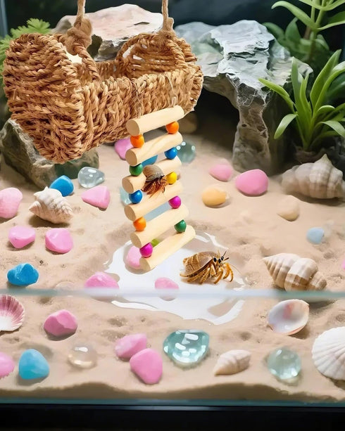 Aiqriwv Hermit Crab Hideout with Natural Wood Ladder - Aquarium Climbing Bridge Ramp for Small Animals - Habitat