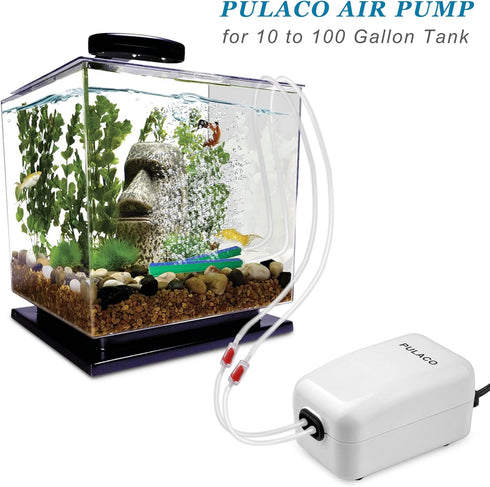 PULACO Dual Outlet Aquarium Air Pump, Quiet Oxygen Pump with Accessories for 10 to 100 Gallon Tanks