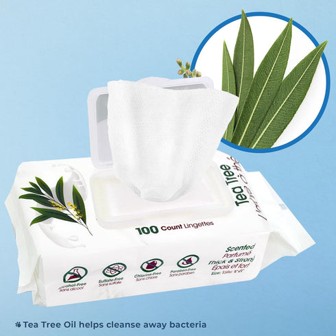 Best Pet Supplies 8" x 9" Pet Grooming Wipes for Dogs, 400 Pack, Plant-Based Deodorizer for Coats & Sensitive Skin