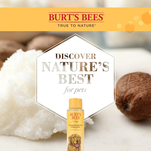 Burt's Bees for Pets Hypoallergenic Dog Shampoo with Shea Butter and Honey, 16 Ounces - 2 Pack