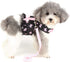 Zunea No Pull Small Dog Girl Harness Dress, Escape Proof Cat Kitten Vest Leash Set for Walking (Black S)