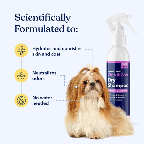 8 oz Honest Paws Dog Dry Shampoo - Waterless No Rinse Foaming Formula Reducing Itch Cleanse Hydrate Nourish Dry Skin