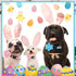 6 Pcs Easter Day Dog Collar, Adjustable Holiday Collars with Flower Safety Buckle for Small Medium Large Dogs