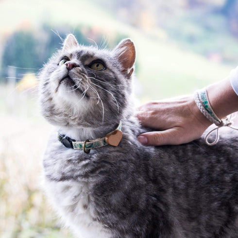 Pettsie Breakaway Cat Collar with Wooden Heart Charm & Matching Owner Bracelet - Adjustable Safety Collar for Cats,