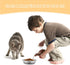 5 PCS Cat Bowls Whisker Friendly, Shallow Wide Flat Stainless Steel Dishes, Dishwasher Safe