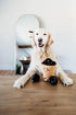 ZippyPaws Burrow Food Buddies Boba Milk Tea - Colorful Interactive Dog Toys for Small & Medium Dogs, Plush Puzzles