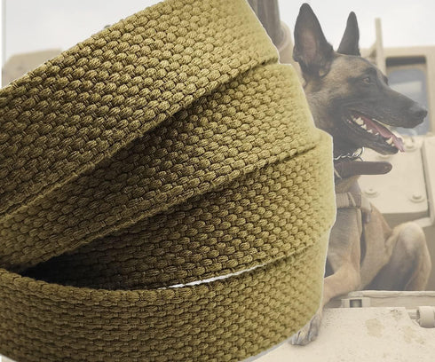 6ft Heavy Duty Tactical Dog Leash, Military Style Thick Nylon for Outdoor Walking, Coyote Brown