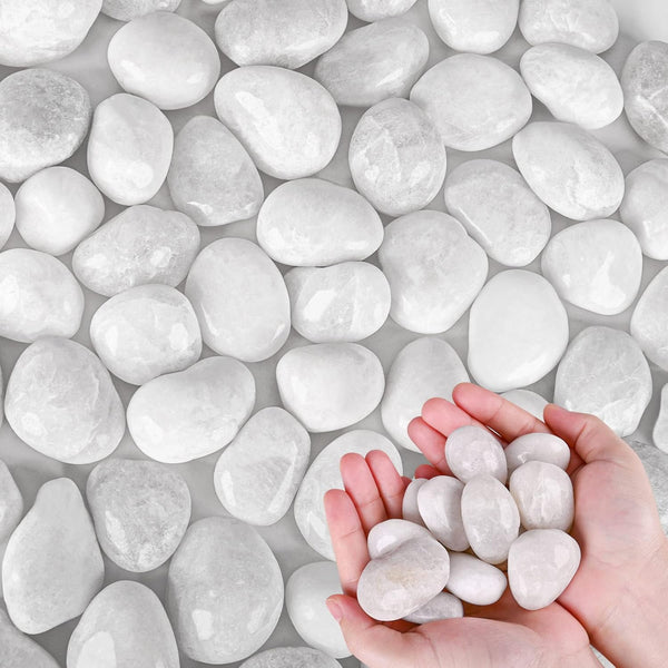White River Rocks for Plants, 5.5 LB Small Decorative Pebbles, Smooth Aquarium Gravel for Indoor and Outdoor