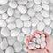 White River Rocks for Plants, 5.5 LB Small Decorative Pebbles, Smooth Aquarium Gravel for Indoor and Outdoor