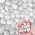 White River Rocks for Plants, 5.5 LB Small Decorative Pebbles, Smooth Aquarium Gravel for Indoor and Outdoor