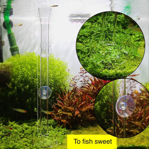 Shrimp Feeding Tube and Dish, Clear Crystal Glass Shrimp Feeder Tube Tray for Aquarium (10")