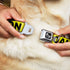 Buckle-Down Dog Collar, Wide Small, Caution Yellow/Black, 13-18"