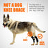 NeoAlly Rear Leg Hock Brace for Large Dogs, Metal Spring Strips for Hock & Ankle Support, Medium Size