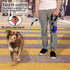 Plutus Pet 6ft Rope Dog Leash, Traffic Padded Two Handle, Heavy Duty Reflective Lead for Large Medium Dogs