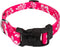 Country Brook Petz Deluxe Dog Collar, Premium Polyester for Durability, Comfort & Style, Pink Hawaiian, Large