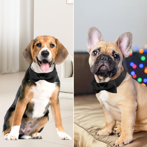 Segarty Bow Ties for Dogs - Adjustable Black Bowtie Collar for Small Medium Dogs, Durable Cats Neck Tie Tuxedo Grooming