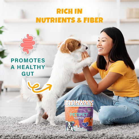 Plant-Based Pumpkin Dog Treats - Healthy Vegetarian, Vegan Treats with Organic Ingredients