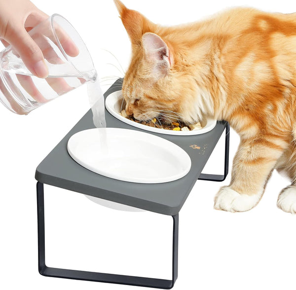 Sunhoo Ceramic Elevated Cat Bowls, Grey - Raised Puppy Dishes with Tilted Bamboo Stand for Anti Vomiting