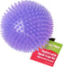 Gnawsome 4.5” Spiky Squeak & Light Ball Dog Toy - Extra Large, Cleans Teeth, Promotes Dental Health, Colors Vary