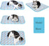 SEIS Dog Ice Pad - Ice Silk Cats Kennel Mat, Breathable Summer Cooling Pad (Blue, S)