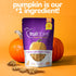 Fruitables Baked Dog Treats – Healthy Low Calorie Pumpkin and Blueberry, 12 Ounces