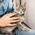 Pet Bells for Dog Cat Collar, 24 Sets of Stainless Steel Anti-Lost Training Bells, Suitable for Pet Pendant Accessories