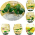 Fish Leaf Pad Fish Tank Accessories Aquarium Décor Simulating 3 pcs Adjustable Plastic Plants Betta Natural Habitat Playing Spawn Breed Rest Bed with Suction Cup Multi Leaf Design (3) by AncBace