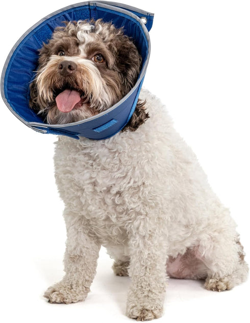 Calm Paws Dog Caring Collar with Calming Sm.