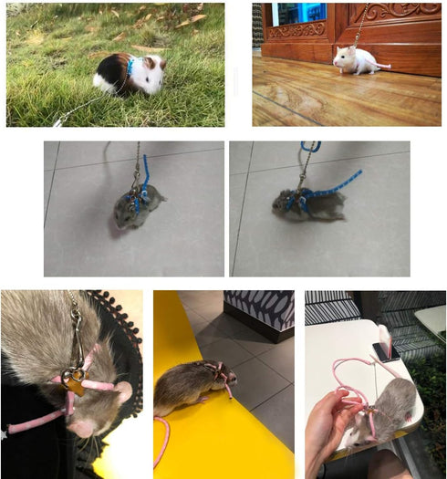 Adjustable Leash Harness with Bell for Rat, Mouse, Squirrel, Guinea Pig Walking Training (Pink)