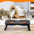 Elevated Silicone Pet Food Bowl Set, Raised Dog Food Bowl with Stand for Dogs and Cats