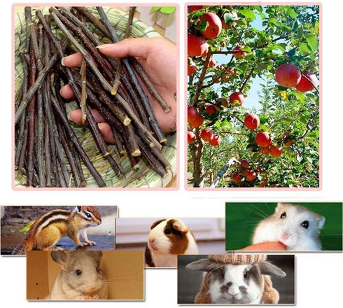 William Craft Apple Sticks - Pet Chew Toys Treats for Chinchilla, Guinea Pigs, Rabbits, Squirrel, Hamster, Bunny