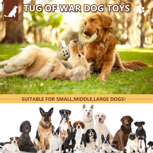Plush Squeaky Dog Chew Toy with Crinkle Paper, Tough Tug of War Toys - Interactive Dog Toys for Small, Medium, Large
