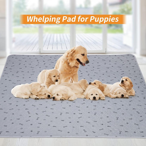 Washable,34x52 Pee Pads for Dogs Reusable Puppy Pads, Absorbent Whelping Pads with Bone Print, Non-Slip Waterproof Pet