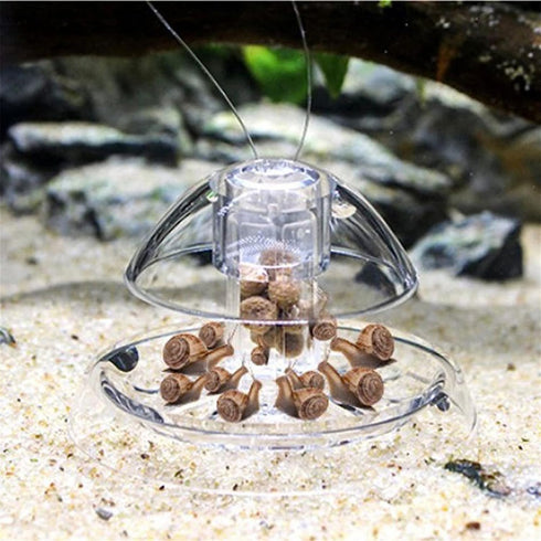 ShanLily Clear Plastic Snail Trap for Fish Tank, Snail Catcher, Leech Planarian Catch Box for Aquarium Plants
