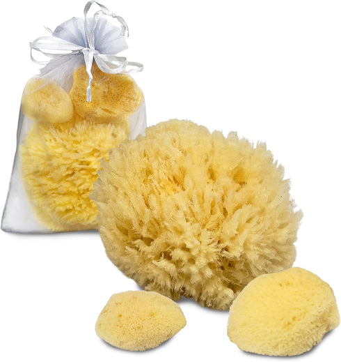 Sea Sponges for Dogs, Luxury Canine Bath Care for Pet Grooming