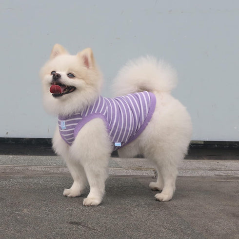 Classic Striped Teacup Pet Dog T-Shirts: 100% Cotton Tank Vest for Small Dogs, Sleeveless Puppy Clothes, Purple, Small