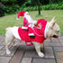 BWOGUE Santa Dog Costume, Christmas Pet Clothes for Small Medium Large Dogs, Party Dressing Up Outfit