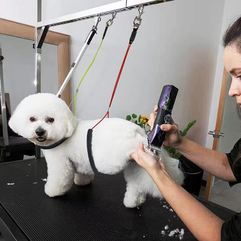 Pet Grooming Loops for Dogs, Stainless Steel No Sit Haunch Holder for Grooming Arm and Table