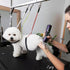 Pet Grooming Loops for Dogs, Stainless Steel No Sit Haunch Holder for Grooming Arm and Table