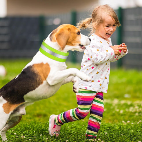 2 Pcs High Visibility Reflective Dog Collar, Adjustable Pet Collars with Quick Release Fastener for Small Medium Large
