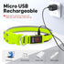 LED Dog Collar - Light Up USB Rechargeable Dog Collar for Night Walking, Adjustable Medium Neon Green