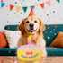 5.9", Dog Birthday Cake Toy Larger Plush Dog Gift with Electronic Music Box, Plays Happy Birthday Song & Puppy Bark