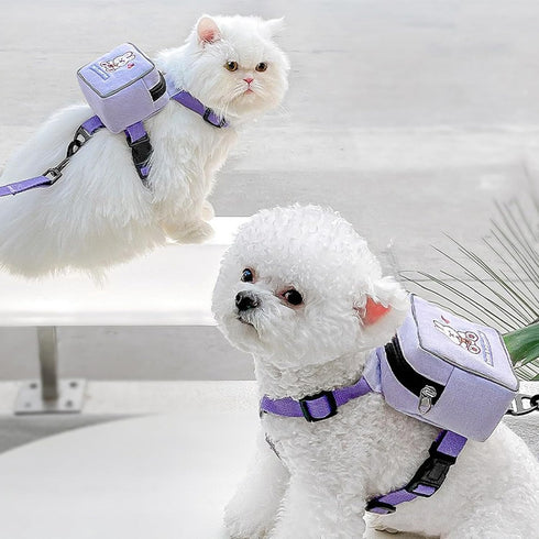 iPlusSmile Pet Backpack Harness with Leash for Small Cat Dog, Adjustable Mini Carrier Backpack for Walking Travel