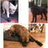 Hipaw Dog Shoes for Summer - Breathable Dog Boots for Medium Large Dogs, Comfortable Paw Protectors for Hiking