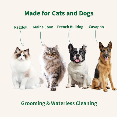 Fabullciso 2-in-1 Pet Grooming Kit, Gentle Comb and Waterless Cleaning Mousse for Dogs and Cats, No-Rinse Foam