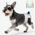 Ambreview Dog Diapers Female | Easy-Wear Disposable Pull-up Diaper with 360 Stretch