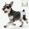Ambreview Dog Diapers Female | Easy-Wear Disposable Pull-up Diaper with 360 Stretch