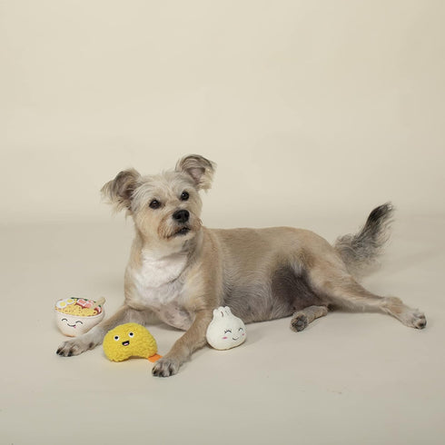 Fringe Studio Plush Dog Toy Set, SOY INTO You, 3 Piece Set, for Small Dogs (289517)