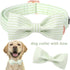 ARING PET Dog Collar - Cute Green Collar with Bow, Adjustable Summer Bowtie for Small Medium Large Dogs with Metal